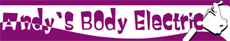 AndysBodyElectric